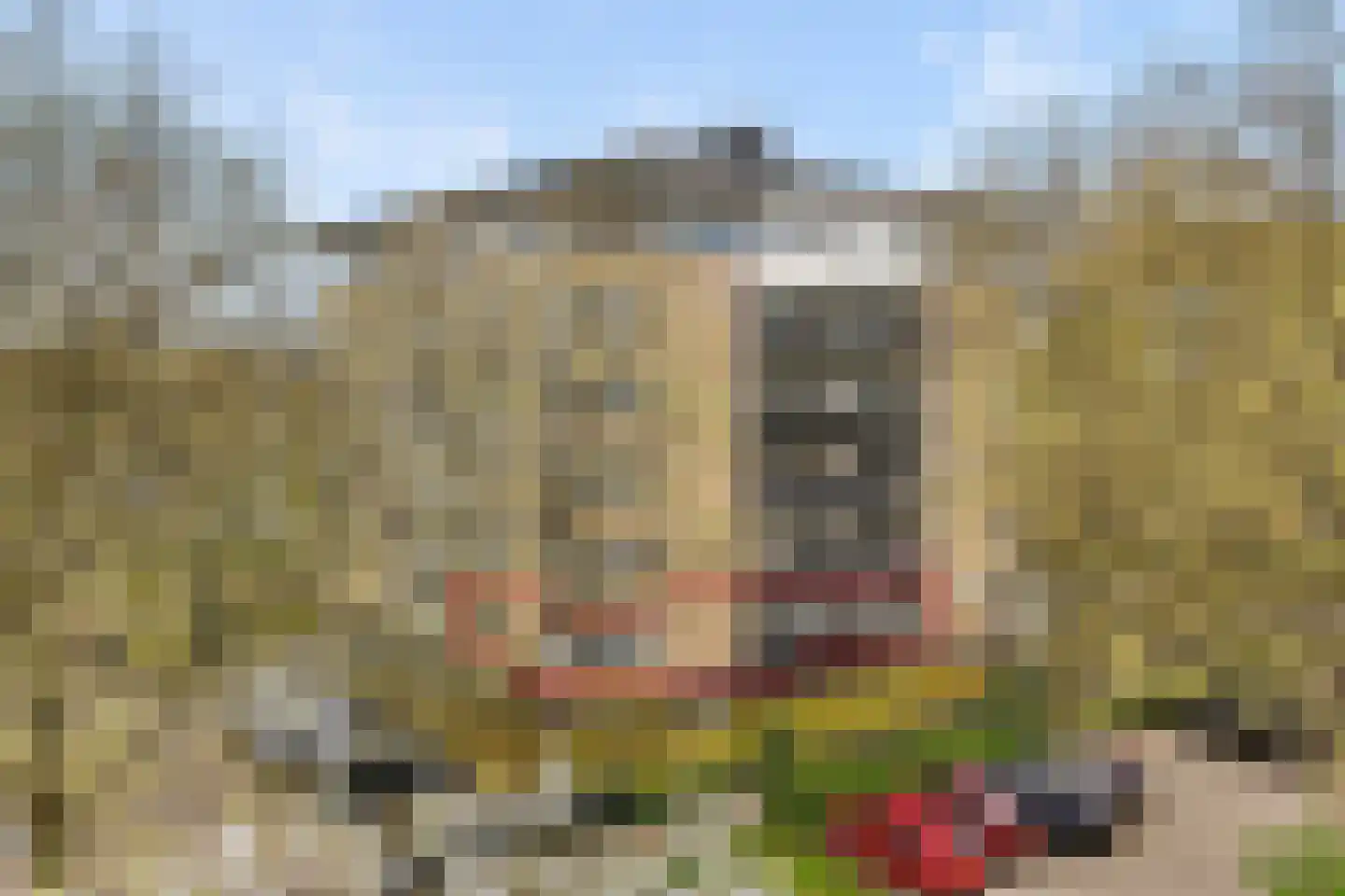 Adamsdreef 189 Ede