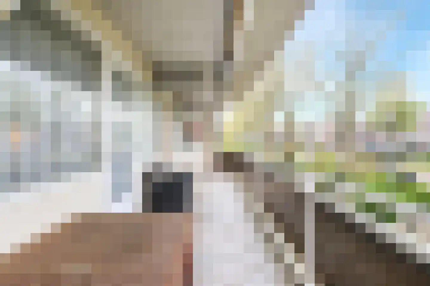 Adamsdreef 189 Ede thumbnail 29