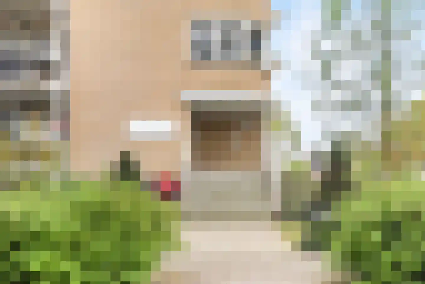 Adamsdreef 189 Ede thumbnail 31