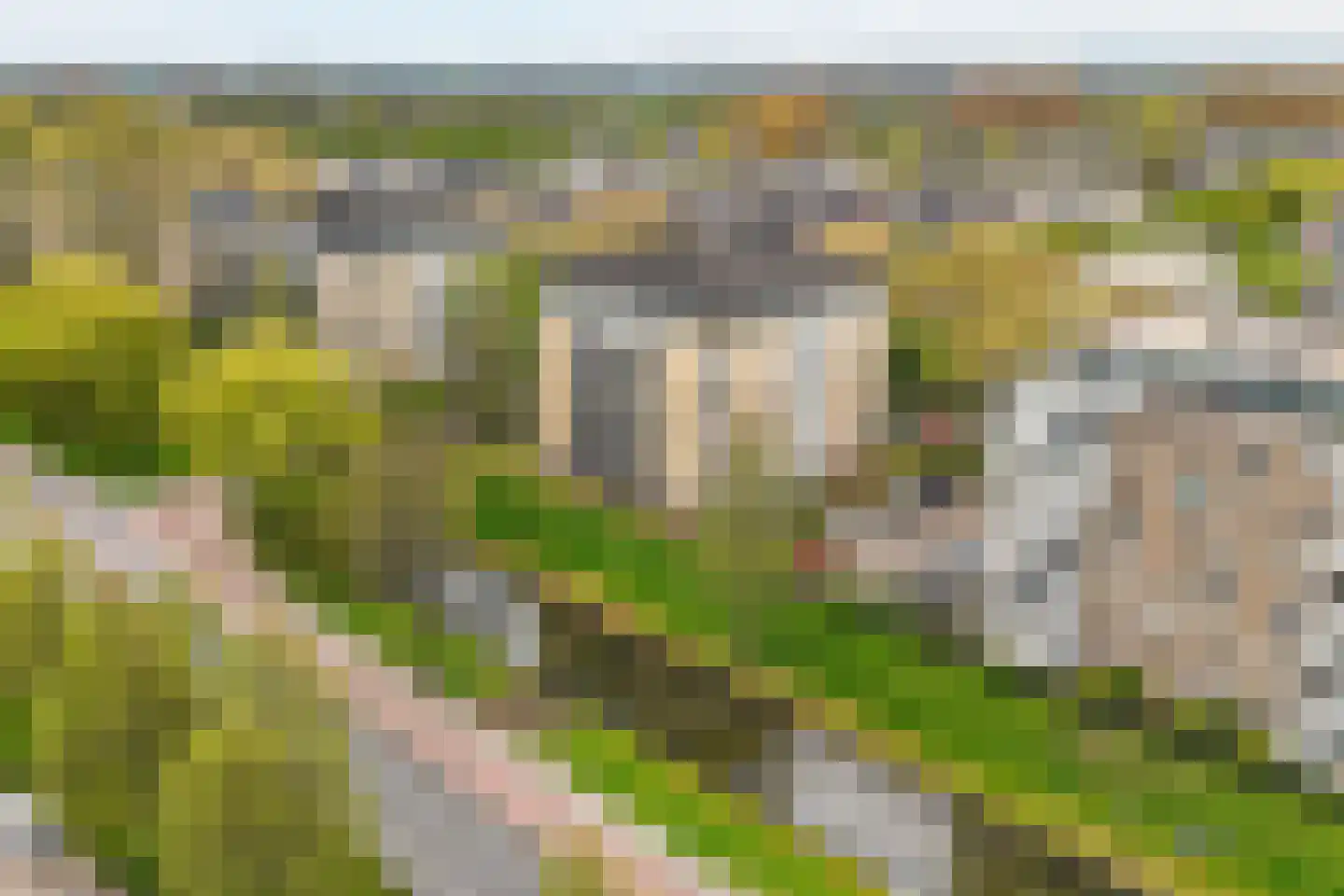 Adamsdreef 189 Ede thumbnail 38