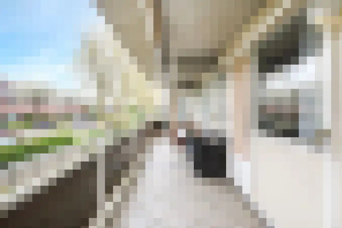 Adamsdreef 189 Ede thumbnail 4