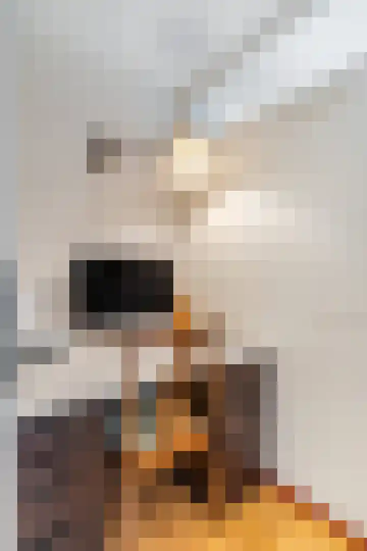 Adamsdreef 217 Ede thumbnail 14