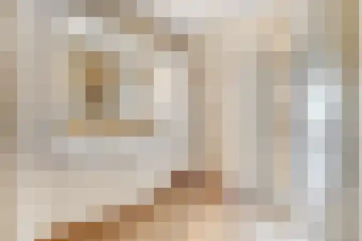 Adamsdreef 217 Ede thumbnail 15