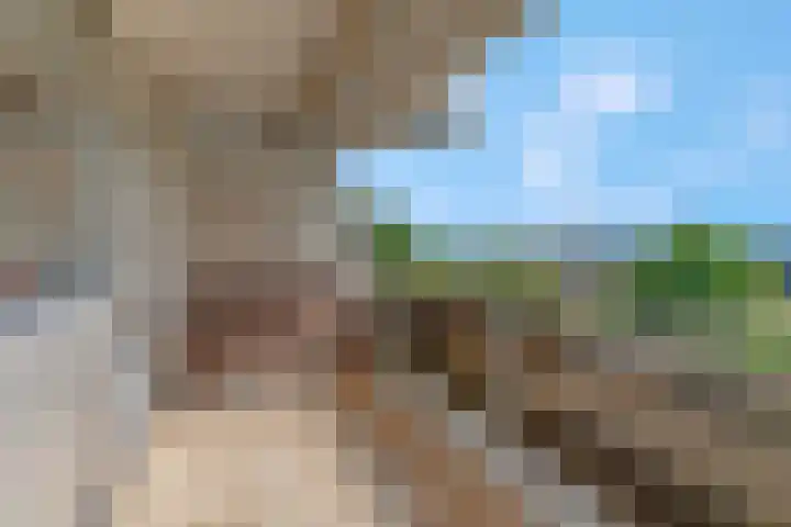 Adamsdreef 217 Ede thumbnail 21