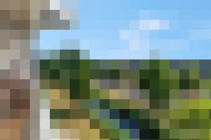 Adamsdreef 217 Ede thumbnail 22