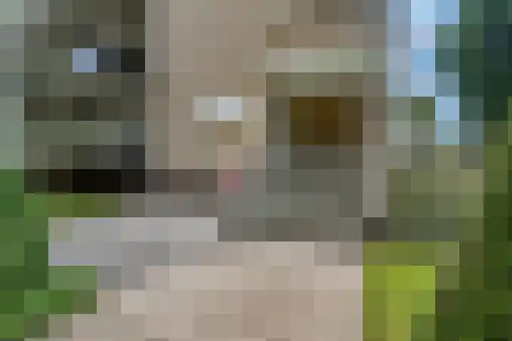 Adamsdreef 217 Ede thumbnail 24