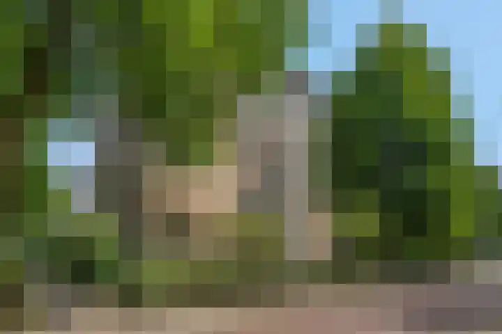 Adamsdreef 217 Ede thumbnail 28
