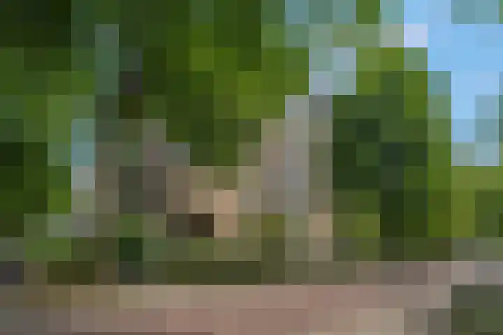 Adamsdreef 217 Ede thumbnail 29