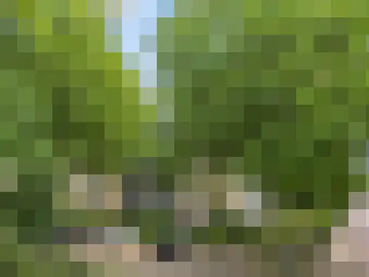 Adamsdreef 217 Ede thumbnail 30