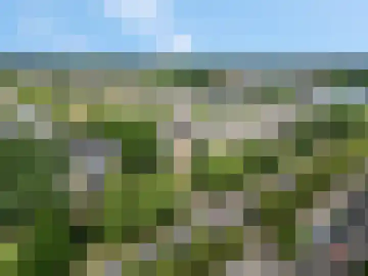 Adamsdreef 217 Ede thumbnail 34