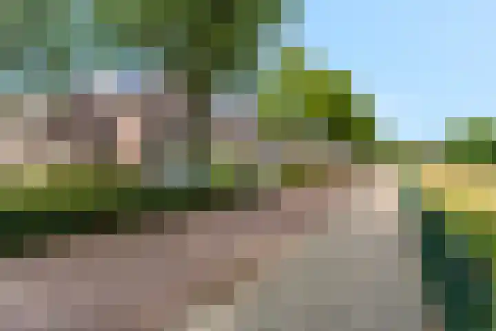 Adamsdreef 217 Ede thumbnail 37