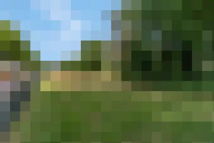 Adamsdreef 217 Ede thumbnail 38