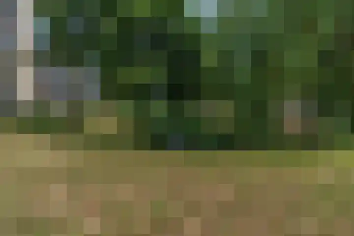 Adamsdreef 217 Ede thumbnail 40