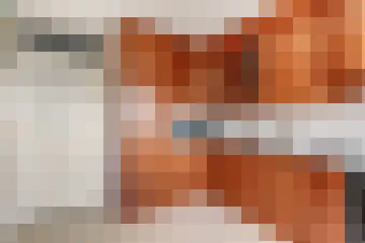 Adamsdreef 217 Ede thumbnail 8