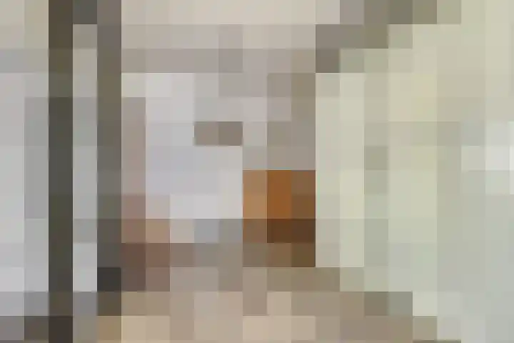 Adamsdreef 227 Ede thumbnail 10