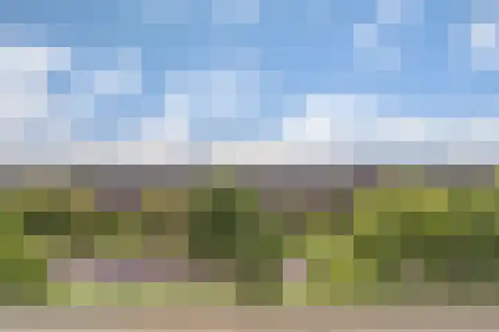 Adamsdreef 227 Ede thumbnail 30