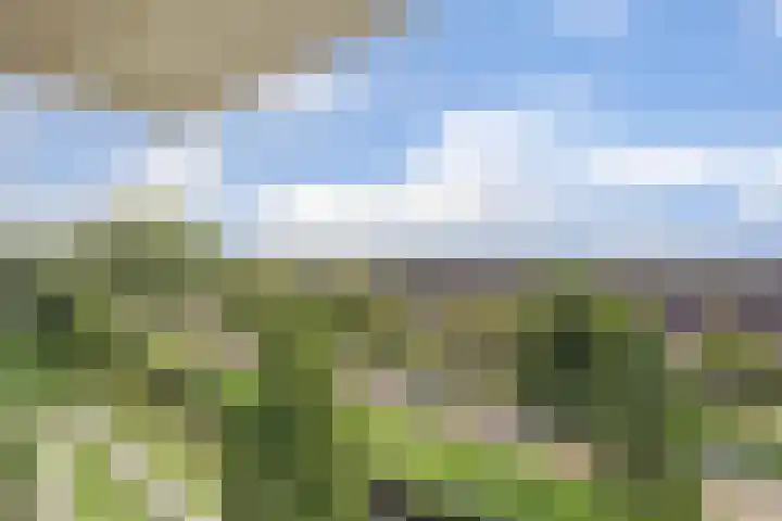 Adamsdreef 227 Ede thumbnail 31
