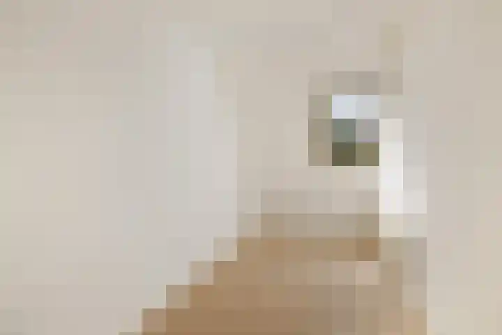 Adamsdreef 34 Ede thumbnail 17