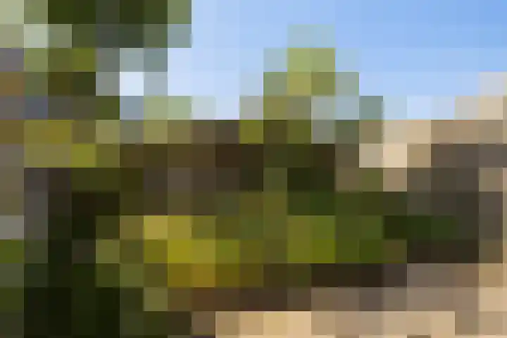 Adamsdreef 34 Ede thumbnail 22