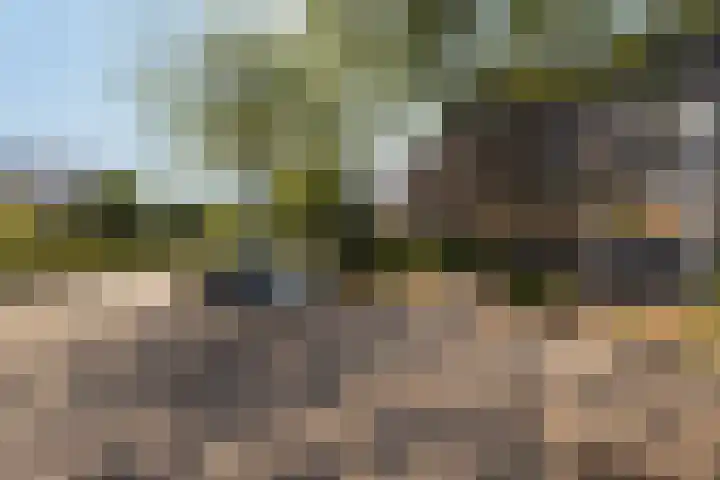 Adamsdreef 34 Ede thumbnail 24