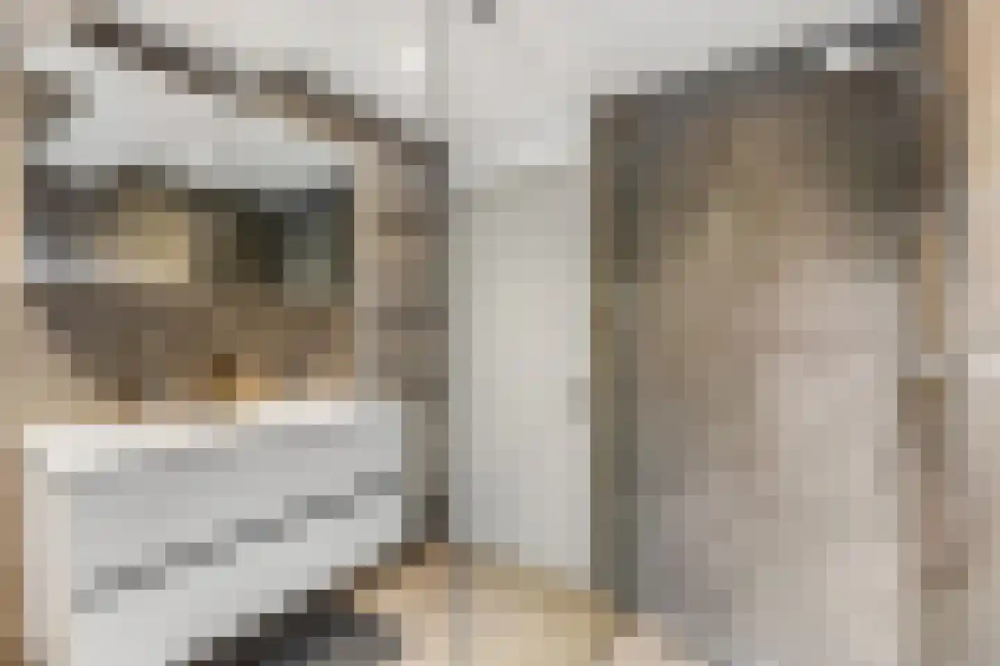 Adamsdreef 46 Ede thumbnail 17