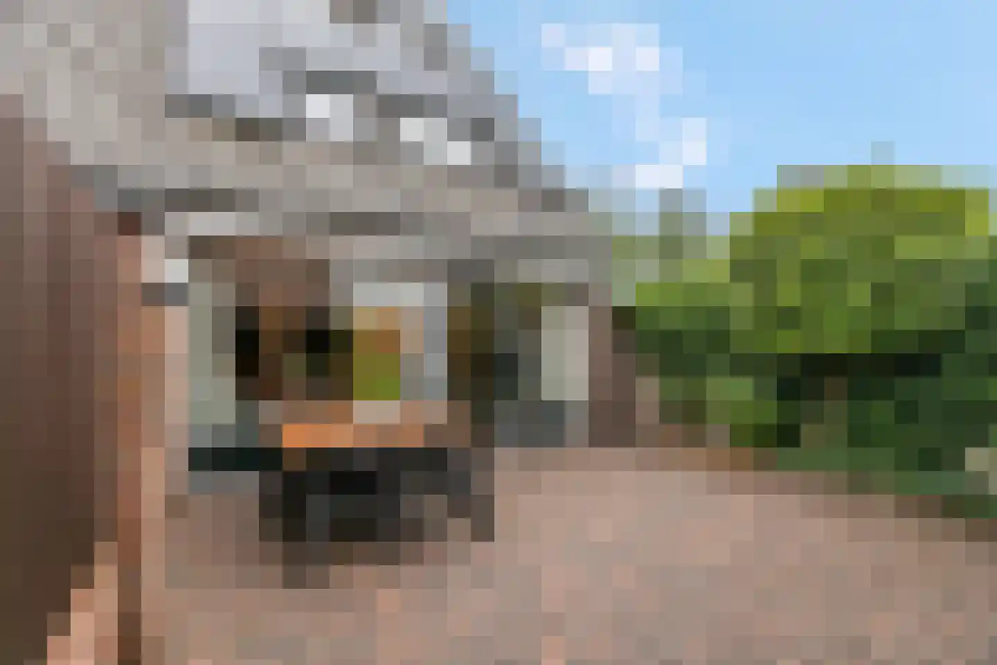 Adamsdreef 46 Ede thumbnail 26