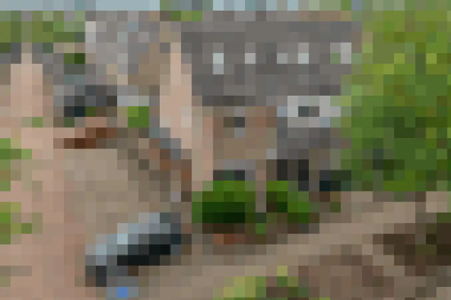 Adamsdreef 46 Ede thumbnail 35