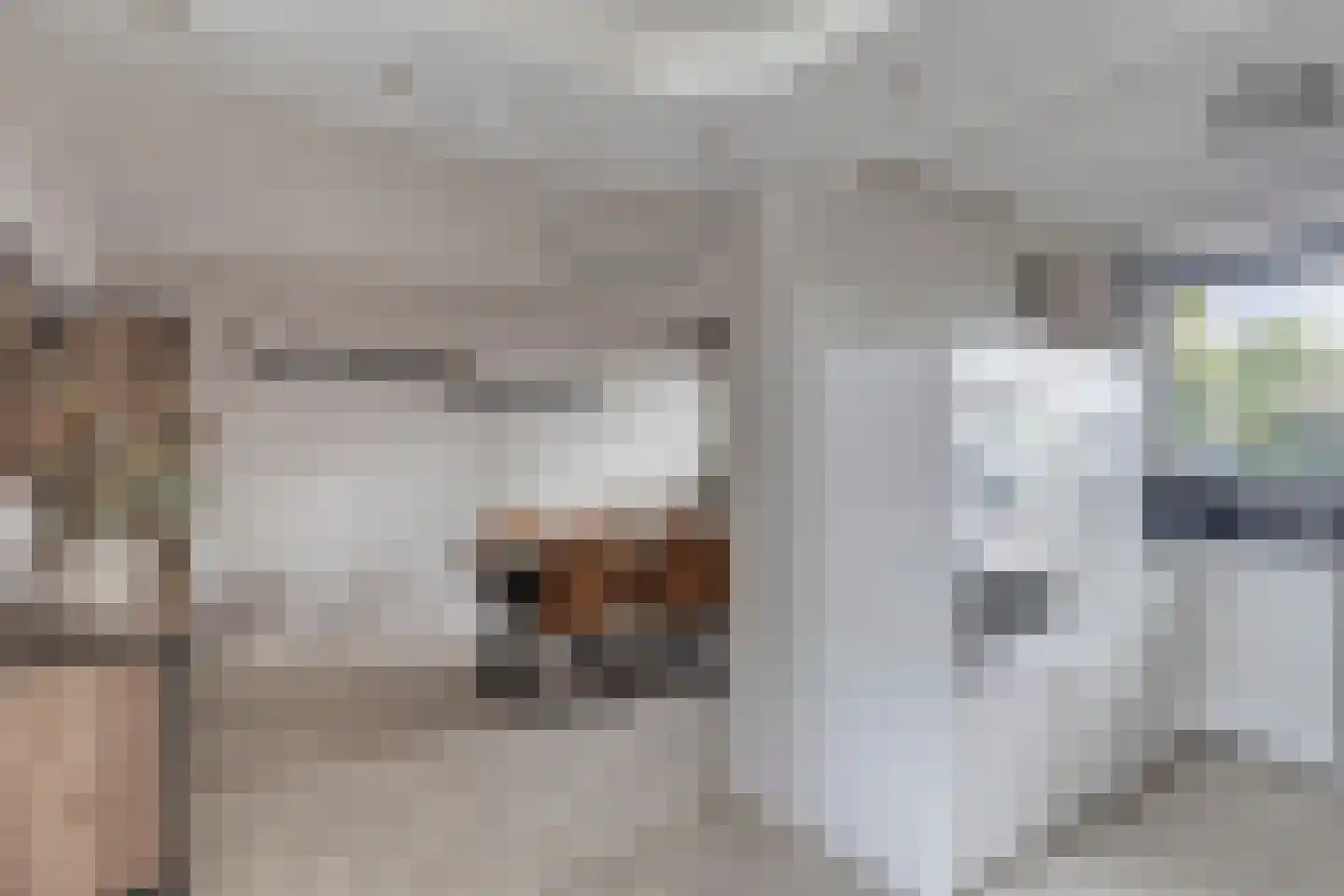 Adamsdreef 66 Ede thumbnail 12