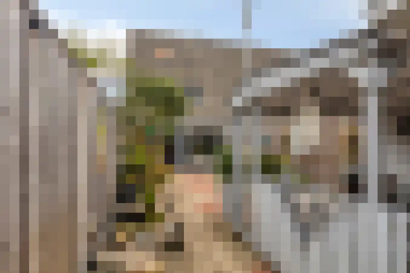Adamsdreef 66 Ede thumbnail 34