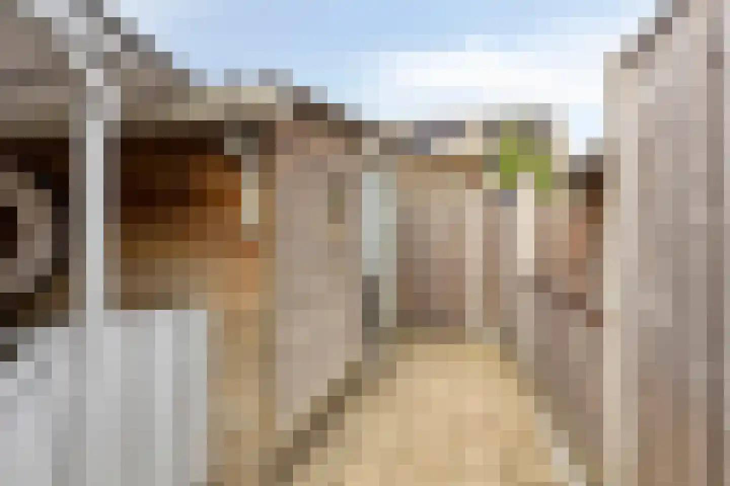 Adamsdreef 66 Ede thumbnail 35