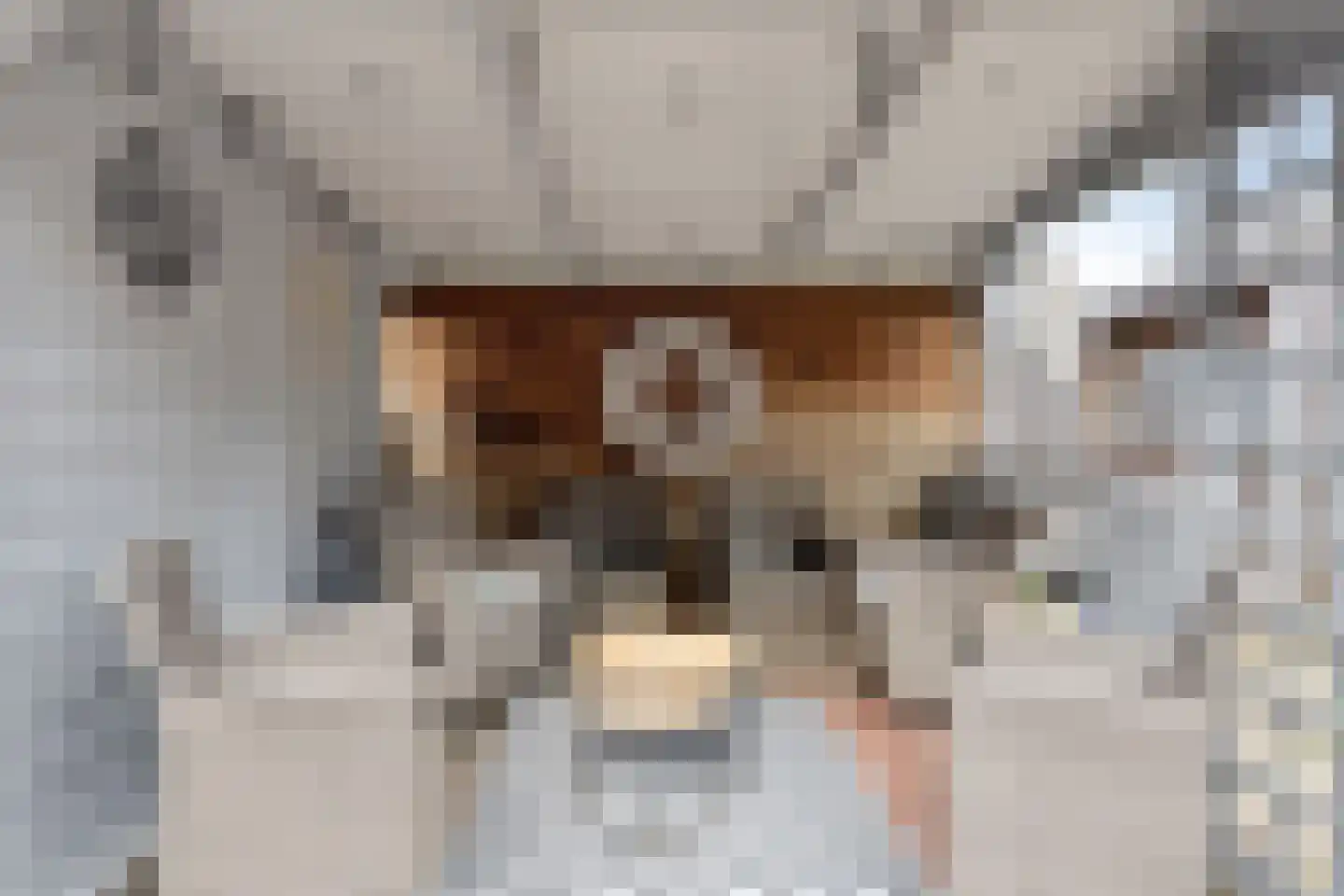 Adamsdreef 66 Ede thumbnail 37