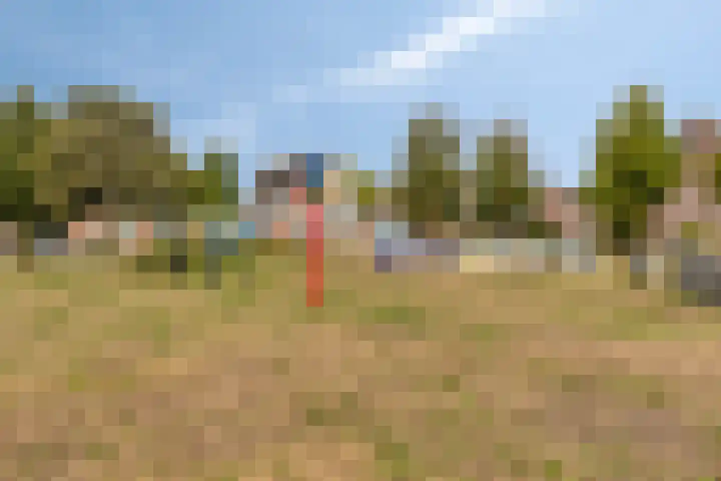Adamsdreef 66 Ede thumbnail 38