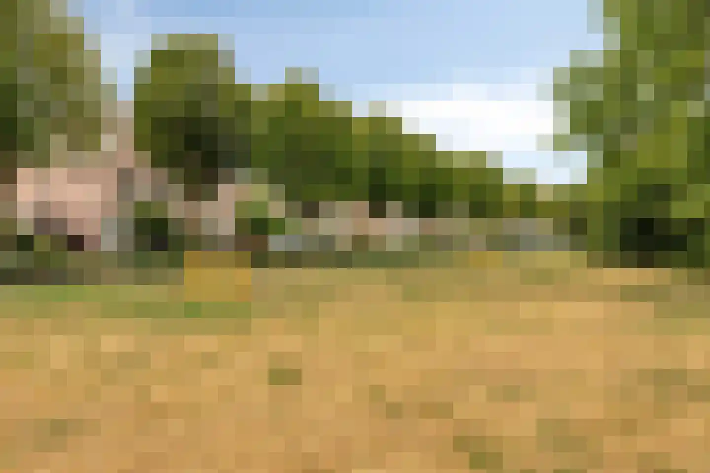 Adamsdreef 66 Ede thumbnail 39