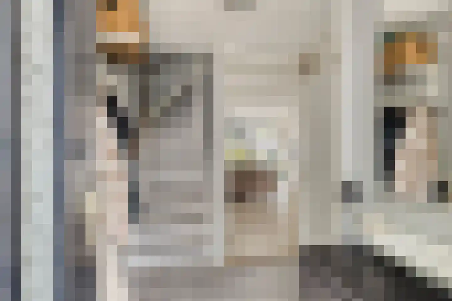 Adamsdreef 66 Ede thumbnail 5