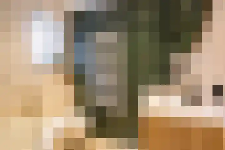 Adamsdreef 90 Ede thumbnail 28