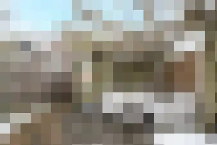Adamsdreef 90 Ede thumbnail 44