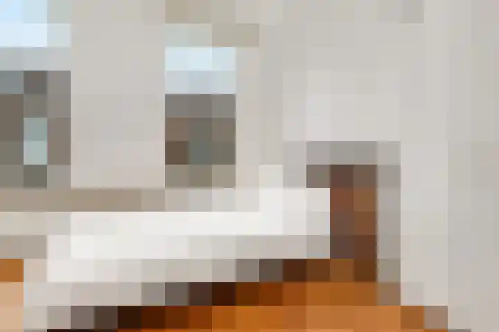 Adamshofstraat 105 B Rotterdam thumbnail 15