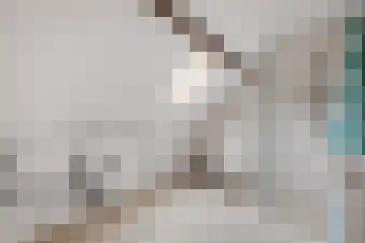 Adamshofstraat 105 B Rotterdam thumbnail 22