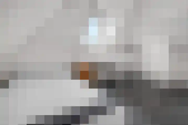 Adamshofstraat 105 B Rotterdam thumbnail 23