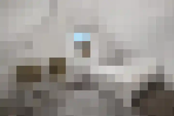 Adamshofstraat 105 B Rotterdam thumbnail 27