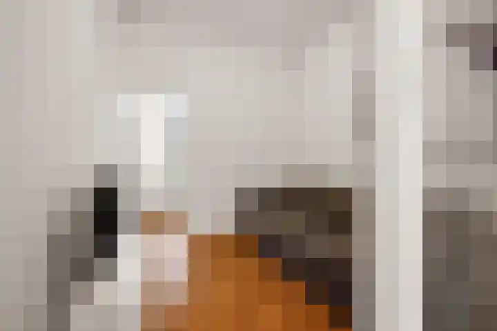Adamshofstraat 105 B Rotterdam thumbnail 6