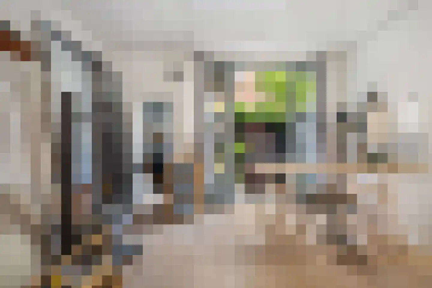 Adamshofstraat 106 A Rotterdam thumbnail 38