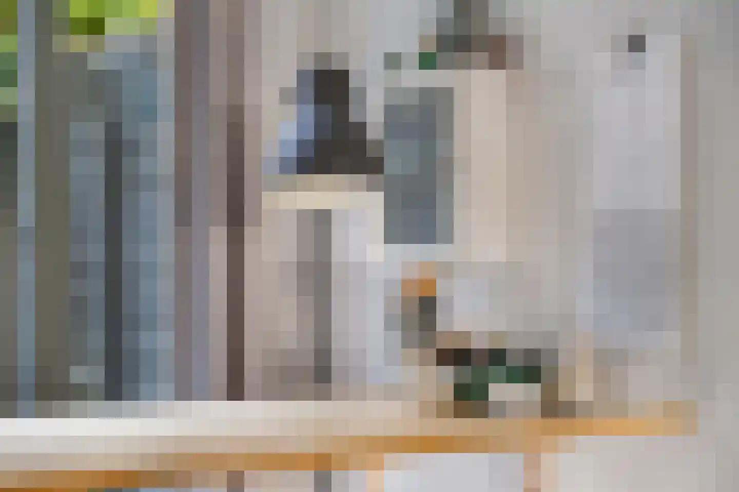 Adamshofstraat 106 A Rotterdam thumbnail 39