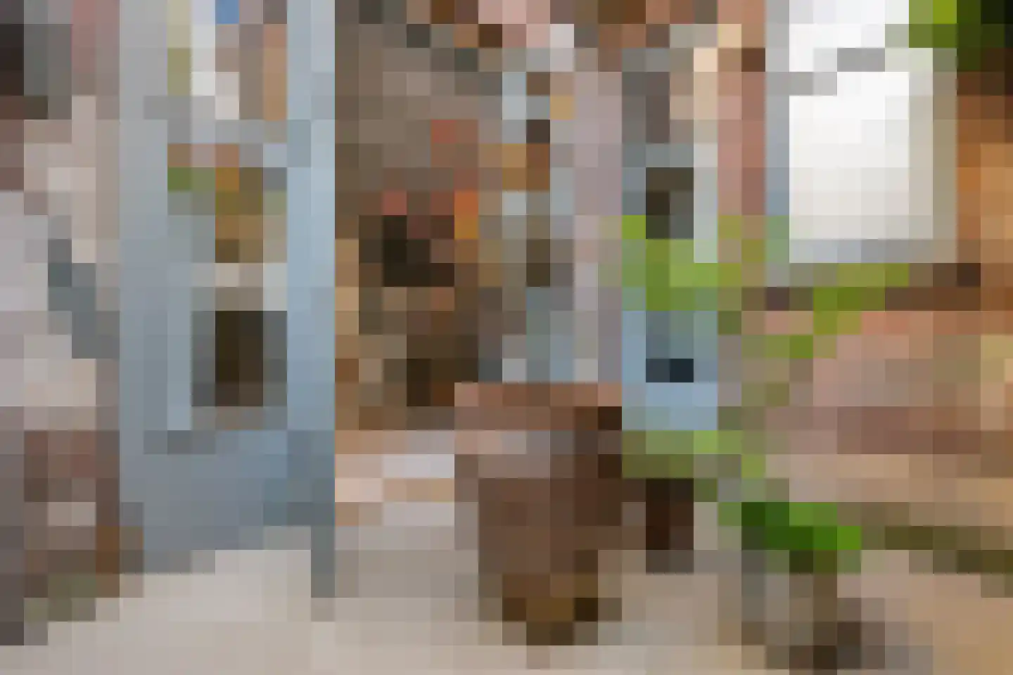 Adamshofstraat 106 A Rotterdam thumbnail 41