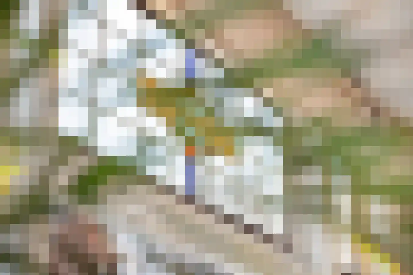 Adamshofstraat 106 A Rotterdam thumbnail 7