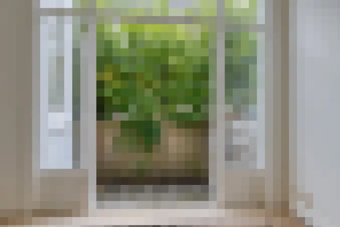 Adamshofstraat 107 AB Rotterdam thumbnail 11