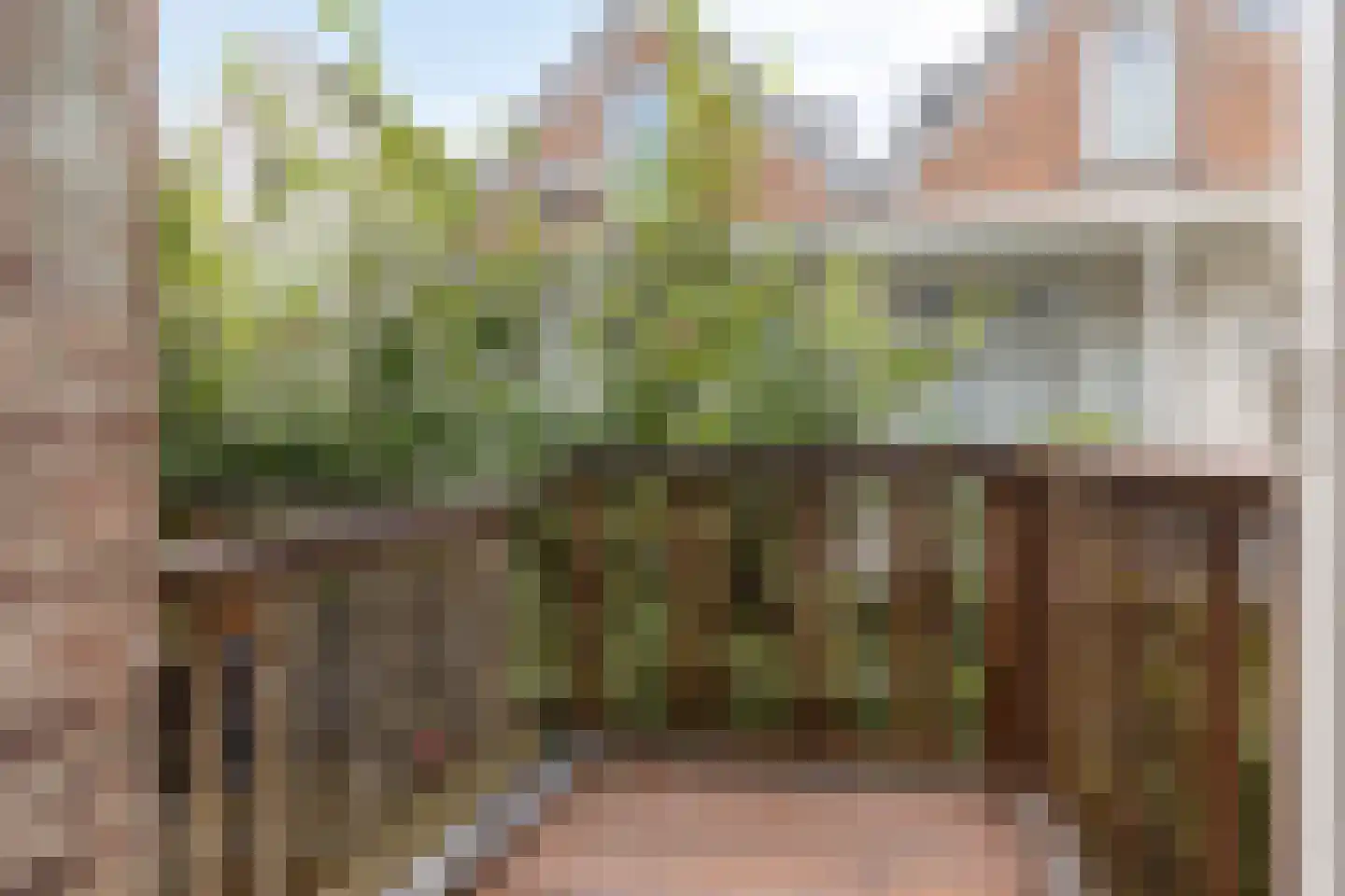 Adamshofstraat 107 AB Rotterdam thumbnail 21
