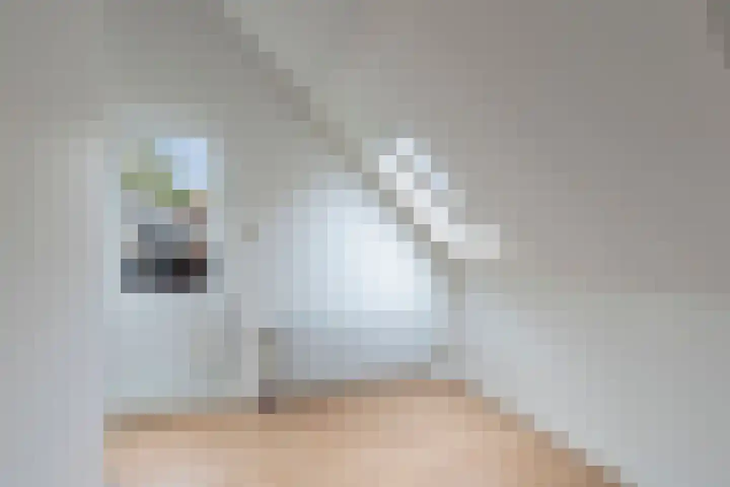 Adamshofstraat 107 AB Rotterdam thumbnail 32