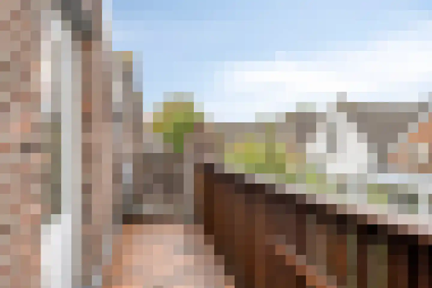 Adamshofstraat 107 AB Rotterdam thumbnail 36