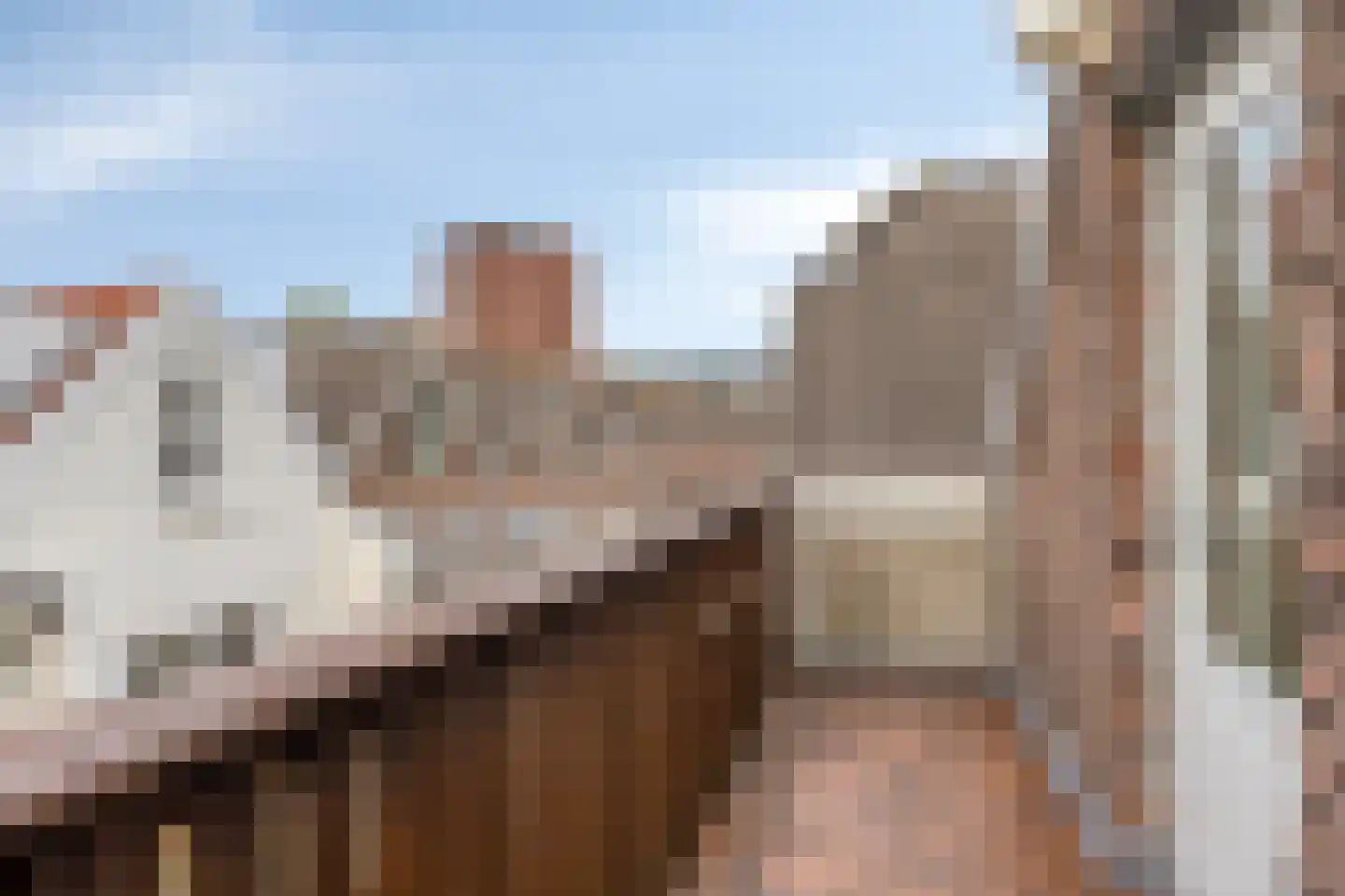 Adamshofstraat 107 AB Rotterdam thumbnail 37